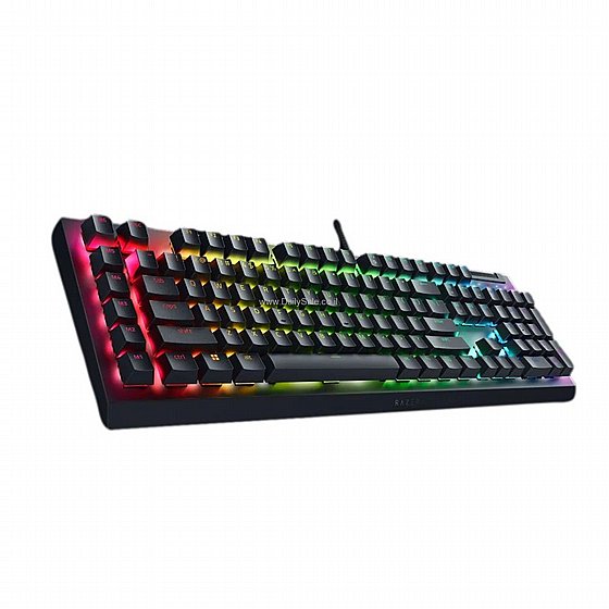 ����� ������� ����� ����� RAZER BLACKWIDOW V4 X ����