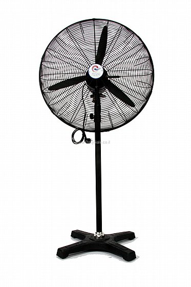 ������ ���� "30 ������� ���� FS-75 �� ��